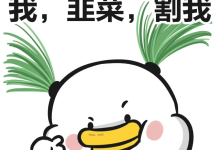 丰树盈揭秘某些大佬是如何“割韭菜”的?互联网新手小白防割指南-丰树盈软件团队官方网站