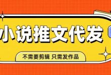 知乎小说推文代发视频，0 费用躺赚！授权名额有限，手慢无！-丰树盈软件团队官方网站